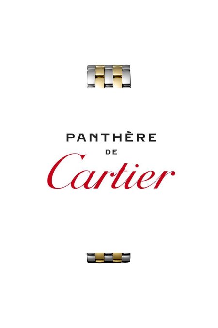 ساعة - De Cartier Panthere / كوبي ماستر 